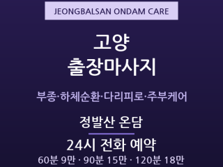 일산 출장마사지 - 정발산 라페스타 순환 … 출장마사지