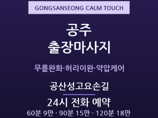 공주 출장마사지 - 신관동 공산성 중장년 … 출장마사지